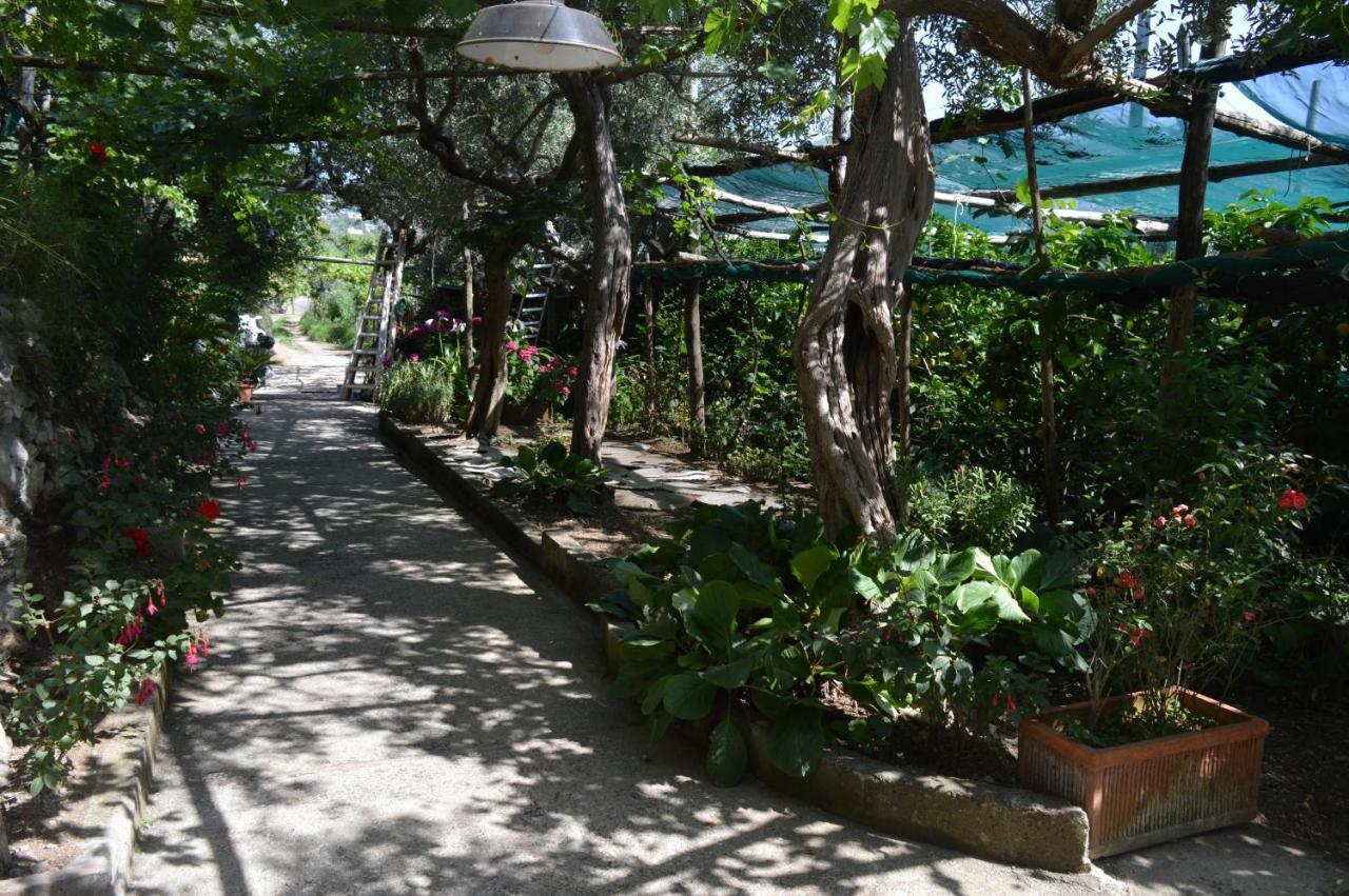 La Petra Holiday home Vico Equense