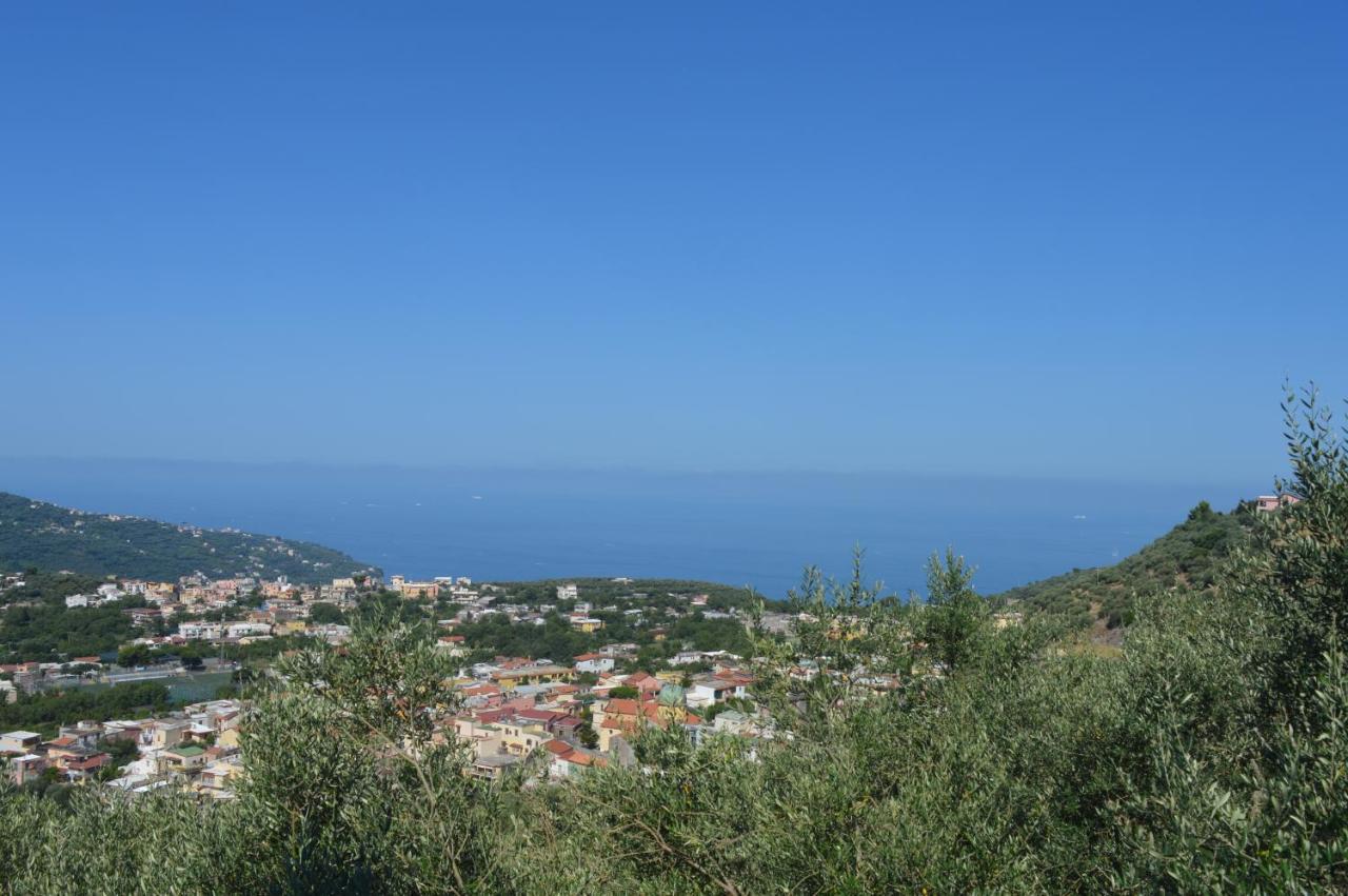 Holiday home La Petra
