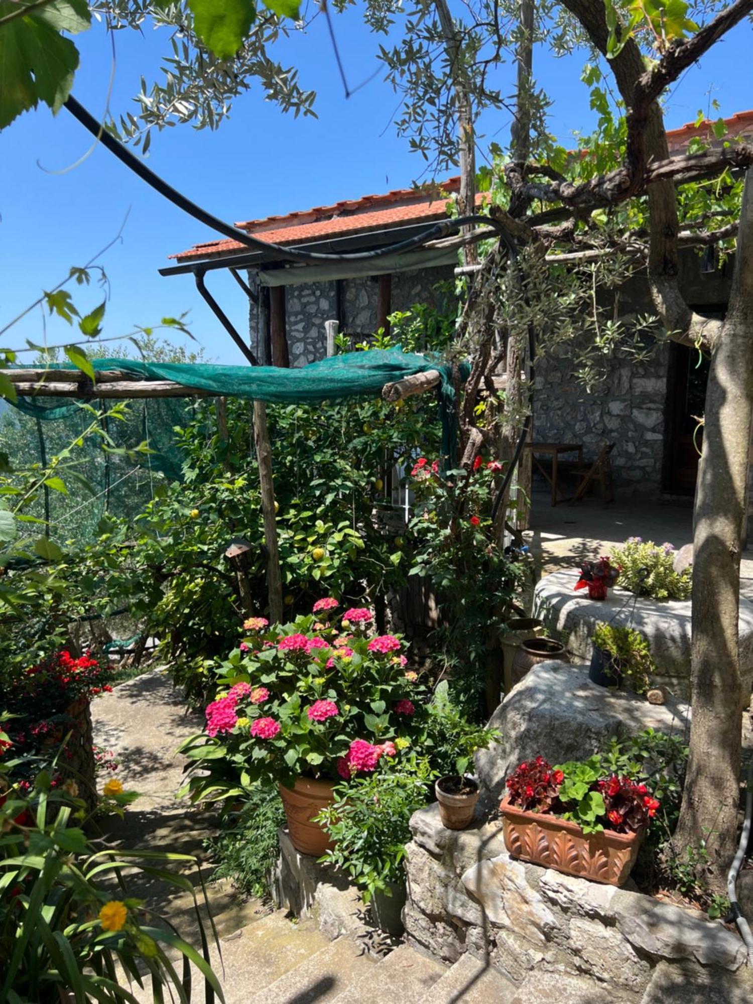 La Petra * Vico Equense